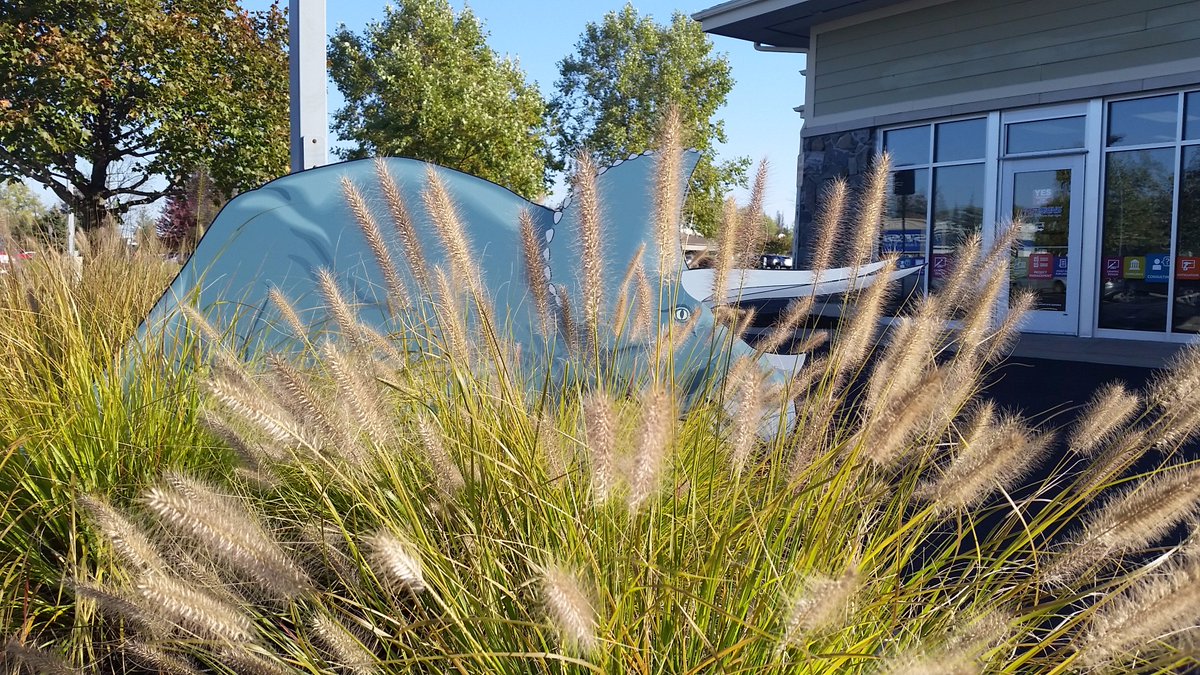 FASTSIGNS_GR's tweet image. Never know what you'll find when visiting FASTSIGNS! #dinosaur  #signsoffun