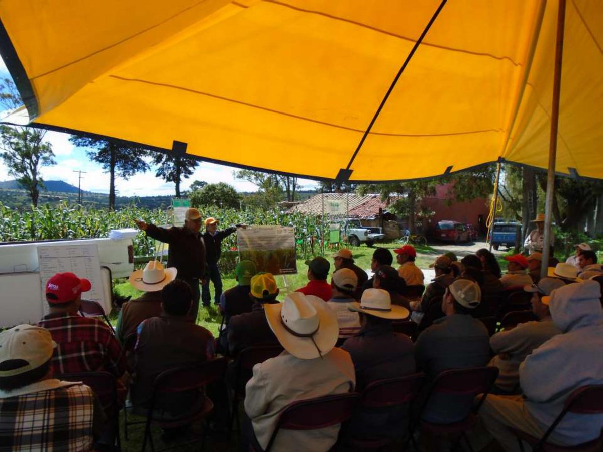 inifap's tweet photo. INIFAP realiza #demostración campo sobre producción de semilla certificada de #maíz híbrido en #Tlaxcala
https://t.co/LTgZ86cJ3Z
@SAGARPA_mx https://t.co/c0Yt0L1r7x