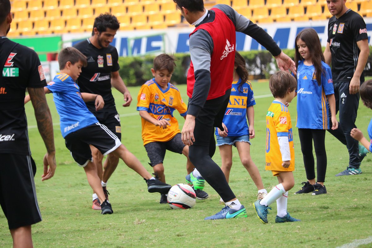 TigresOficial tweet picture