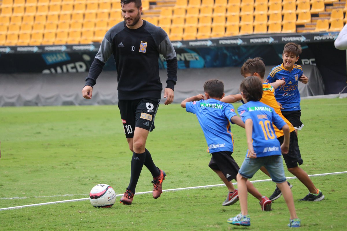 TigresOficial tweet picture