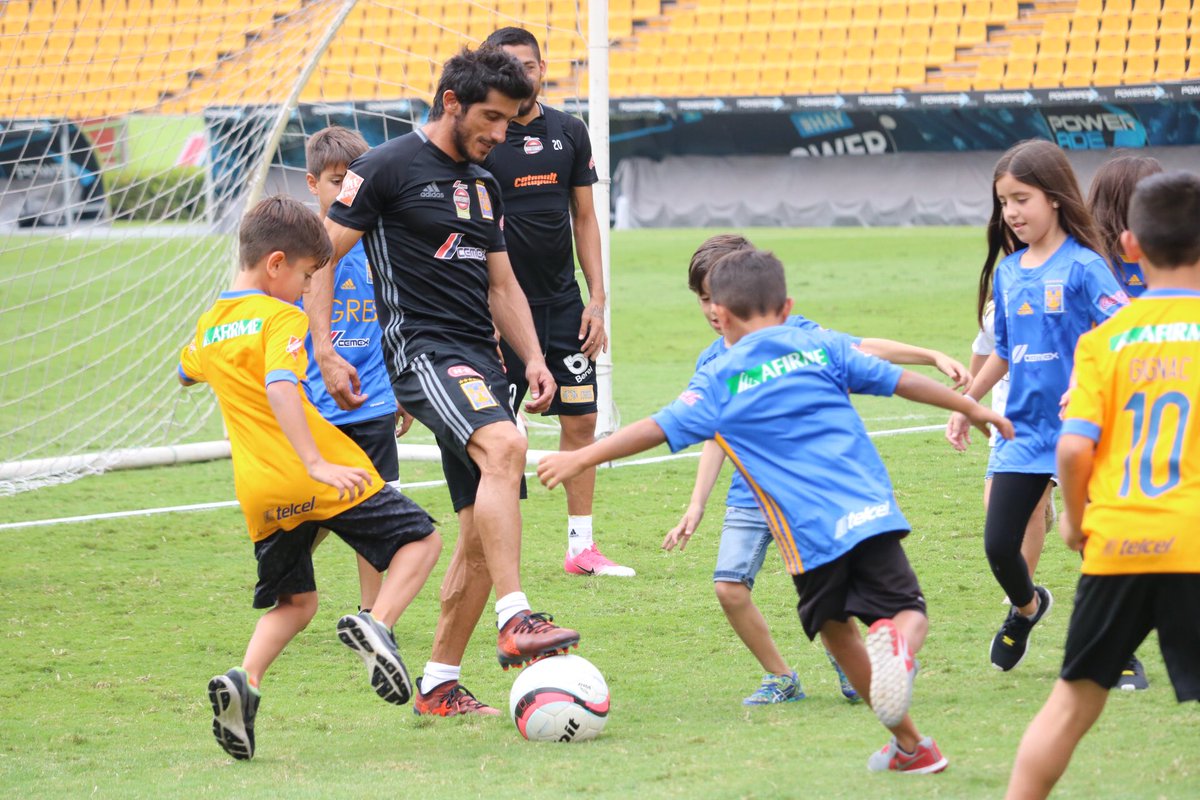 TigresOficial tweet picture