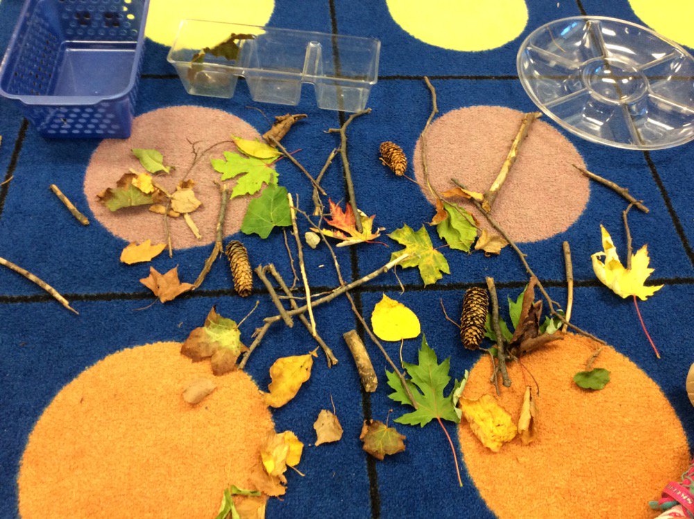 K3Kinders_HW's tweet photo. Today we looked closely at our findings from our nature walk! How did we sort? https://t.co/u5HduErXEK