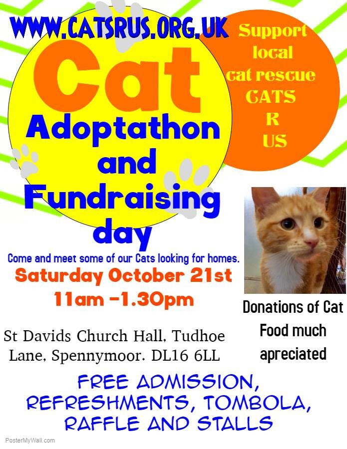 #caturday tomorrow don’t forget #adoptdontshop #fundraising #cakes #raffle #tombola #catrescue #charity