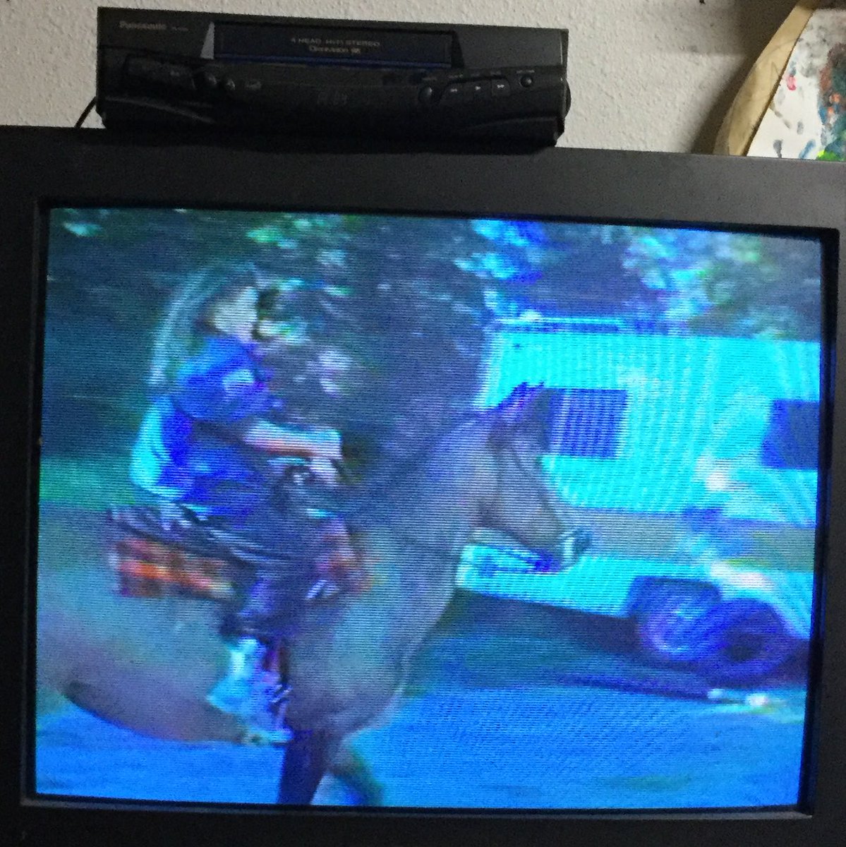 AK_snowgirl8's tweet photo. dude.I found a vcr tape β88 #flashbackfriday #ninilchik #cabinlife #clamdigging totally wearing a MAX HEADROOM t-shirt π #horses #pacearrow https://t.co/VboXd7gJvV