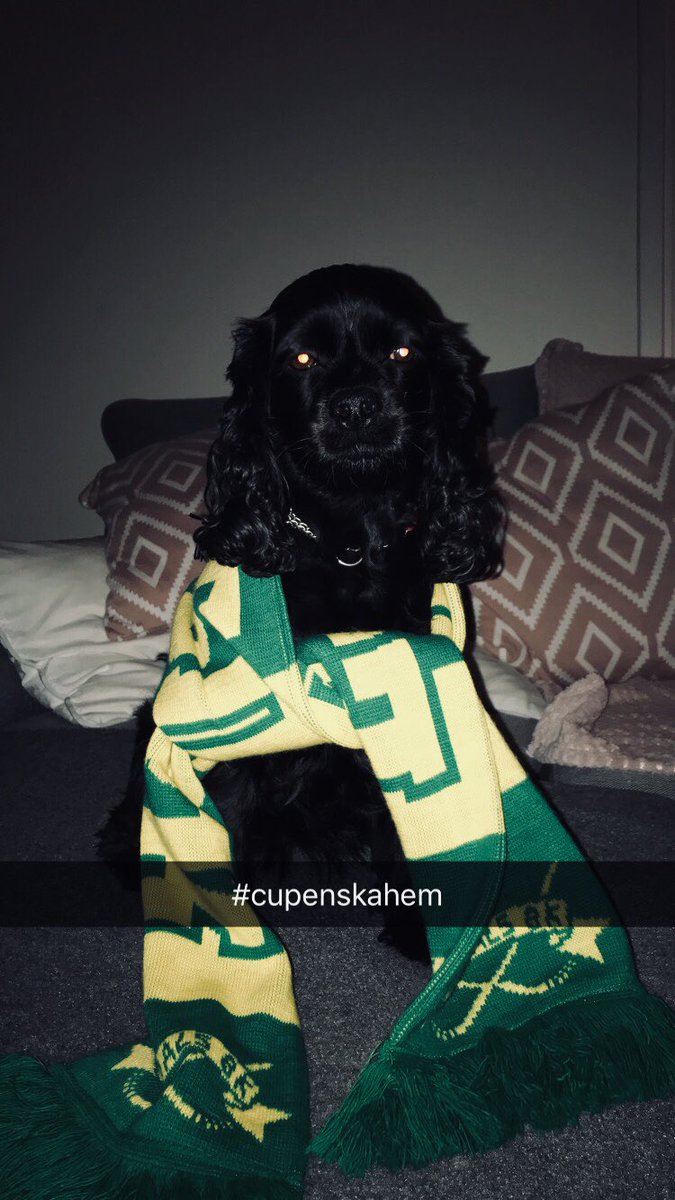 josefinenorrbyy's tweet photo. 💛💚 https://t.co/WjgjTt1h5S