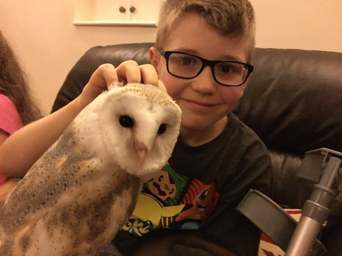 alexs_journey tweet picture