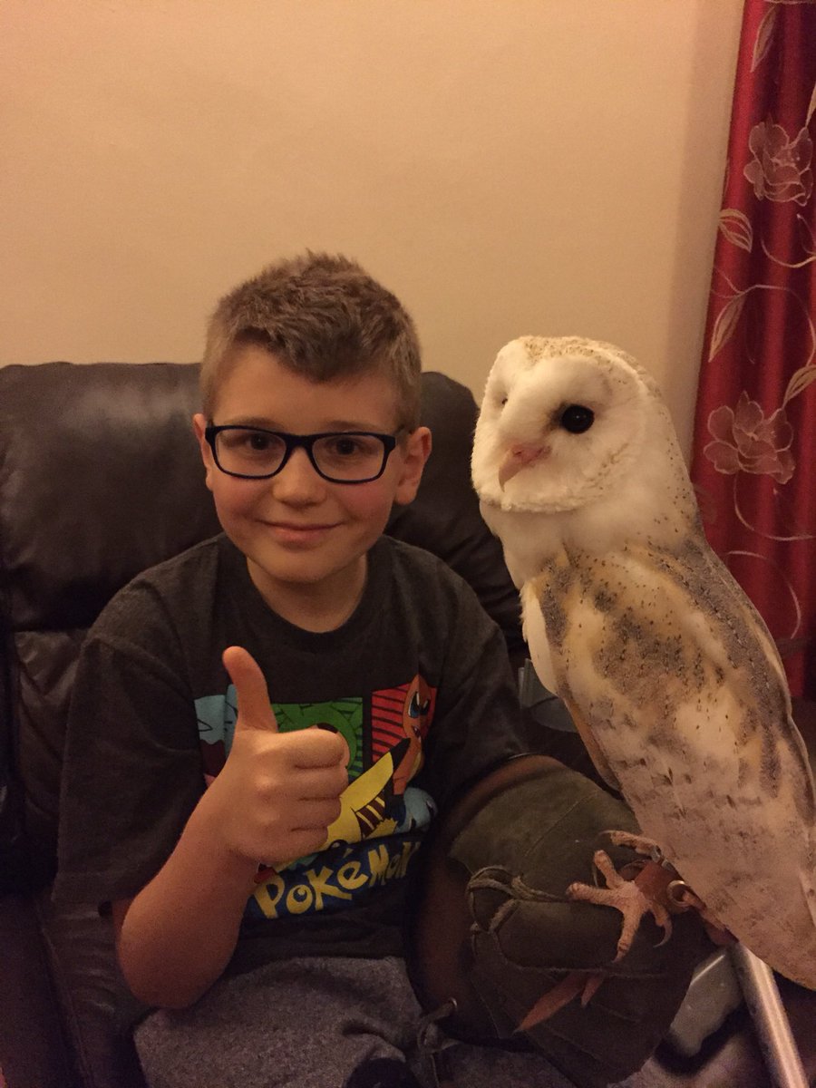 alexs_journey tweet picture
