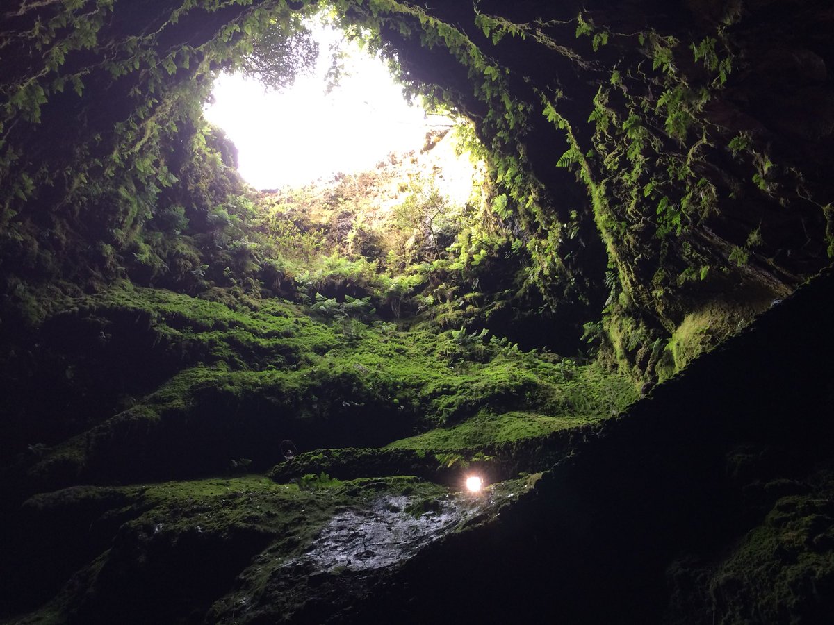 Robin Bird tweet media