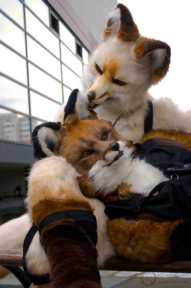 feraldotdesign's tweet photo. Whispering sweet words ... #Nerissa #Arikh #FursuitFriday https://t.co/m9SU1DQtfM