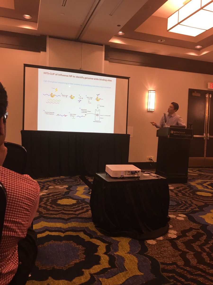 Pitt_PMI's tweet photo. Great talk by Lee lab at Pitt #PittScience2017 on #flu genome packaging #PMIresearch https://t.co/e60Zn1Adsu