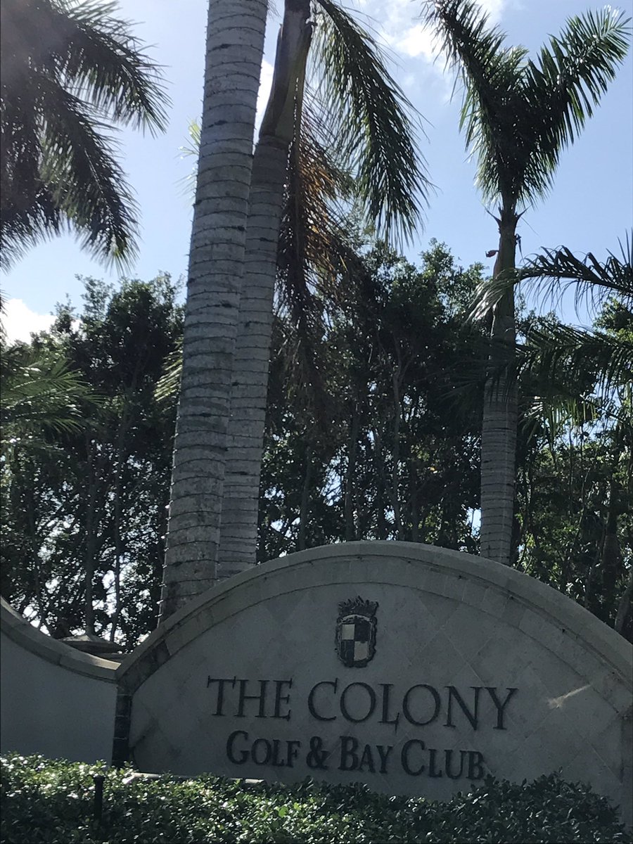 DWayneBart2's tweet photo. Being a new resident in Florida, I see white lights put on the palm trees in mid October are "Snowbird Landing Lights!" https://t.co/6mV6c5KrI0