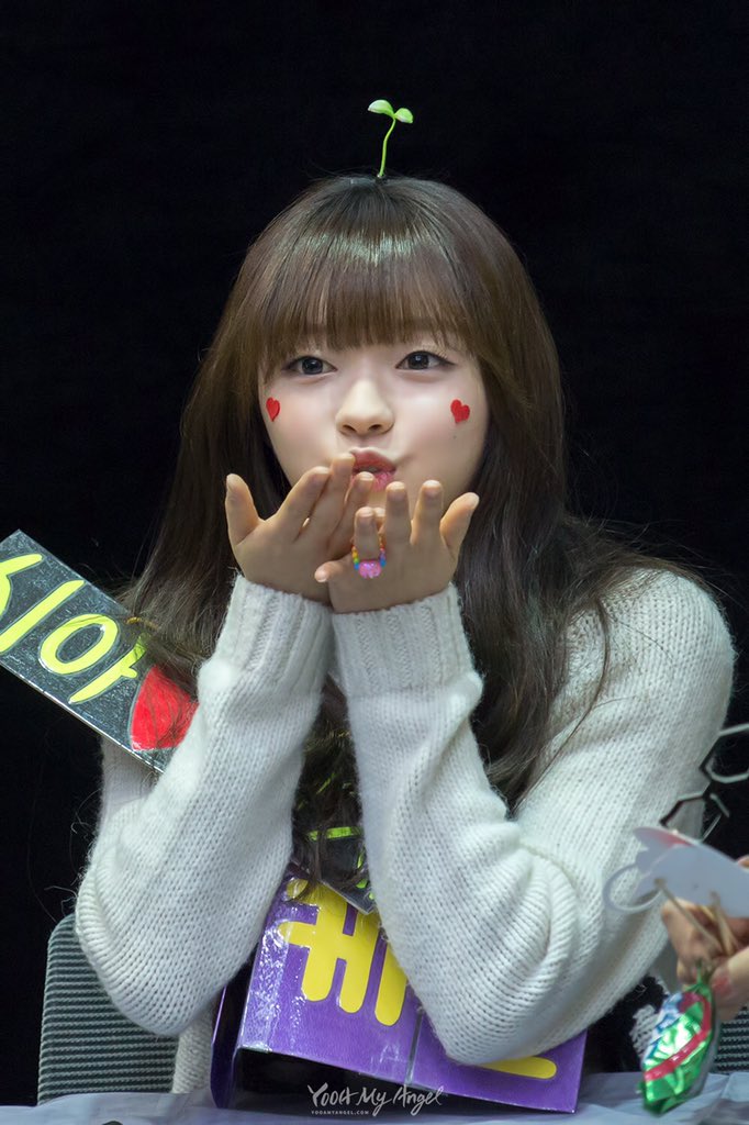 shiahpics's tweet photo. 151122 (© yooa my angel) https://t.co/Z4m8IdcvdZ
