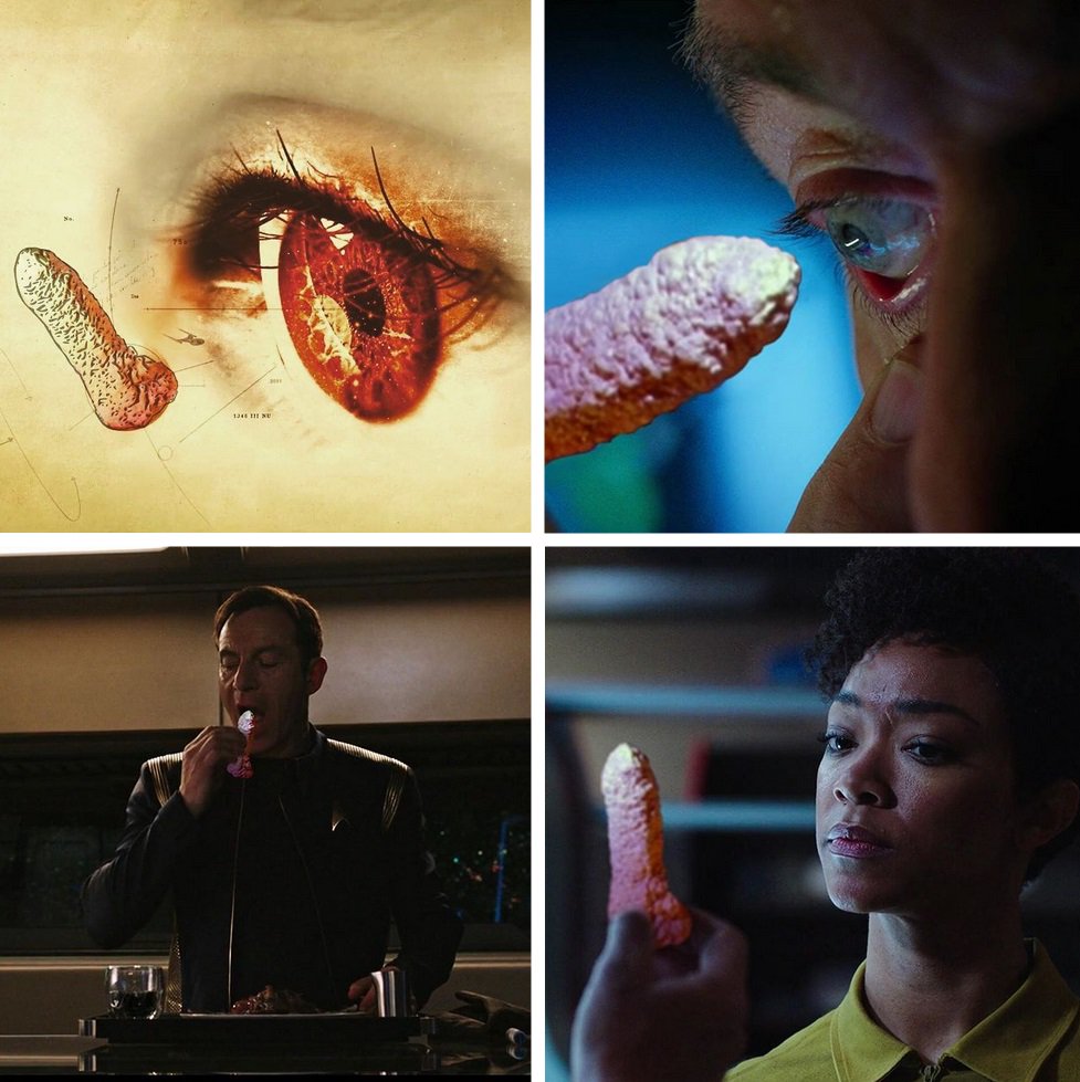 TrekMovie's tweet photo. Its heartwarming to see the #DickRock from "What Are Little Girls Made Of?" has embraced #StarTrekDiscovery https://t.co/5w2t8mvjkj https://t.co/Tp67zyh9eV
