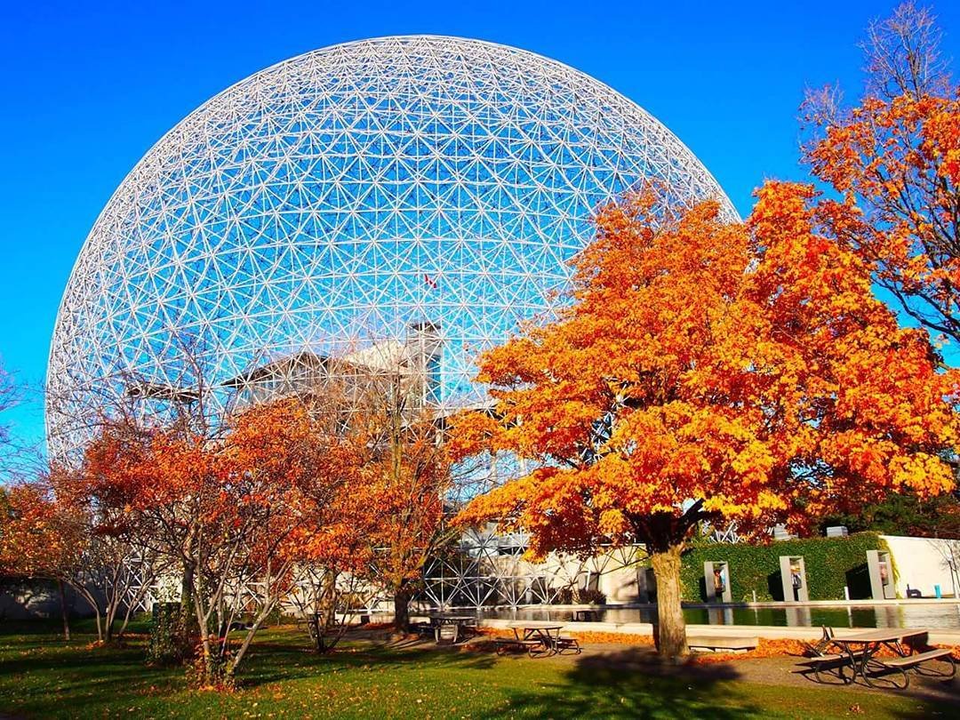 Montreal's tweet photo. No plans for today? Visit the @biospheremtl!
📷 @ikuphotograph https://t.co/kwhKoWyFWw #MTLmoments #BiosphereMTL #fall https://t.co/jLt6ANTzHD