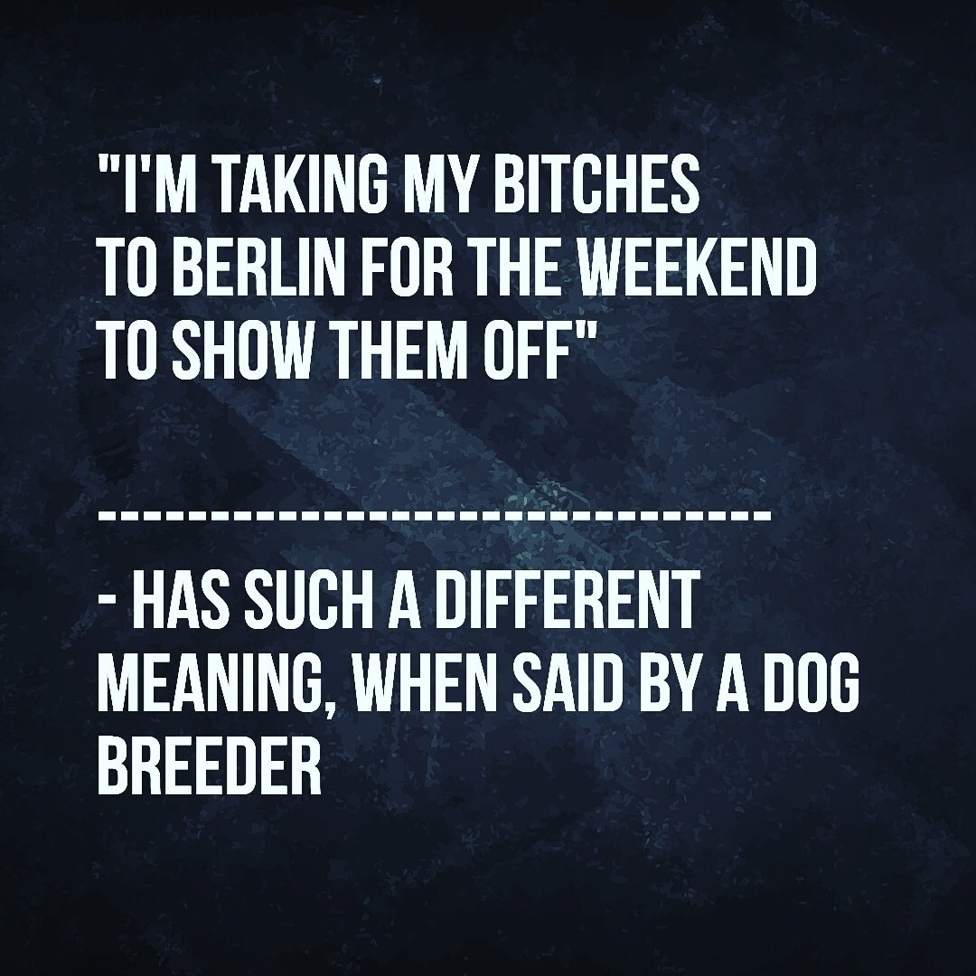 Anna_N_Soto's tweet photo. When context means everything...
#truestory #Berlin #weekendinberlin #mybitches #dogs #DogTales #dogbreeder #FlashbackFriday #doublemeaning https://t.co/iHxRYpqohw