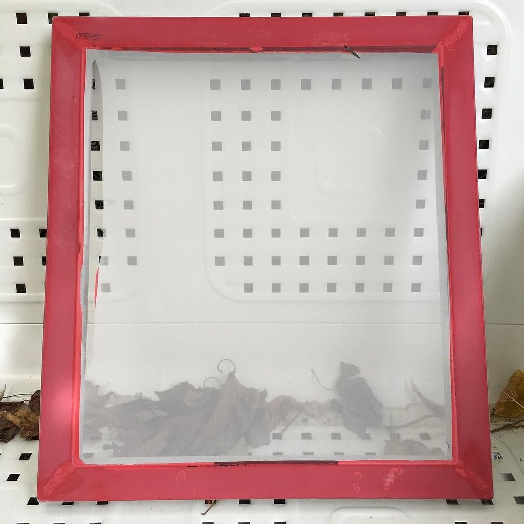 drepetto's tweet photo. Oh, come on. .
.
#screenprinting #rip #tear #tears #rescreen https://t.co/MafW9oMsjR https://t.co/kmYwYTb5qk