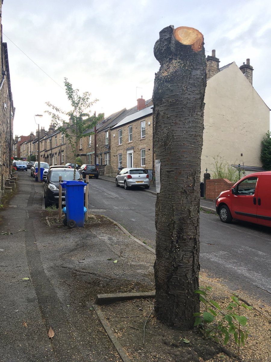 Anne_Goodenough's tweet photo. @nealeggibson @Nik4NetherEdge @Neil_JD Not much evidence of a challenge in this part of #Walkley #savesheftrees https://t.co/qo9494hlMb
