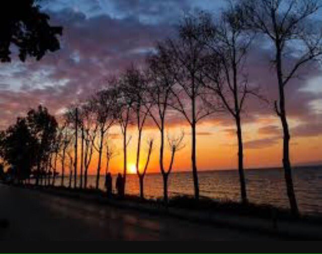 🌵Καλό βράδυ 🐾💫