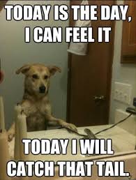 fngirlnms's tweet photo. #FF #authors Happy weekend @brant__landon @ZackLoveAuthor @KenFry10 @JonahPAuthor @WritingReader @SharlynBranson @drduffyauthor @stegalls03 https://t.co/gz5JjnZE9M