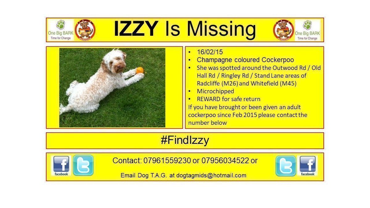 chipandscan's tweet photo. #FindIzzy #missingdogalert Help find IZZY TYVM Do you know where Izzy is? https://t.co/XRAXm0zaqv
