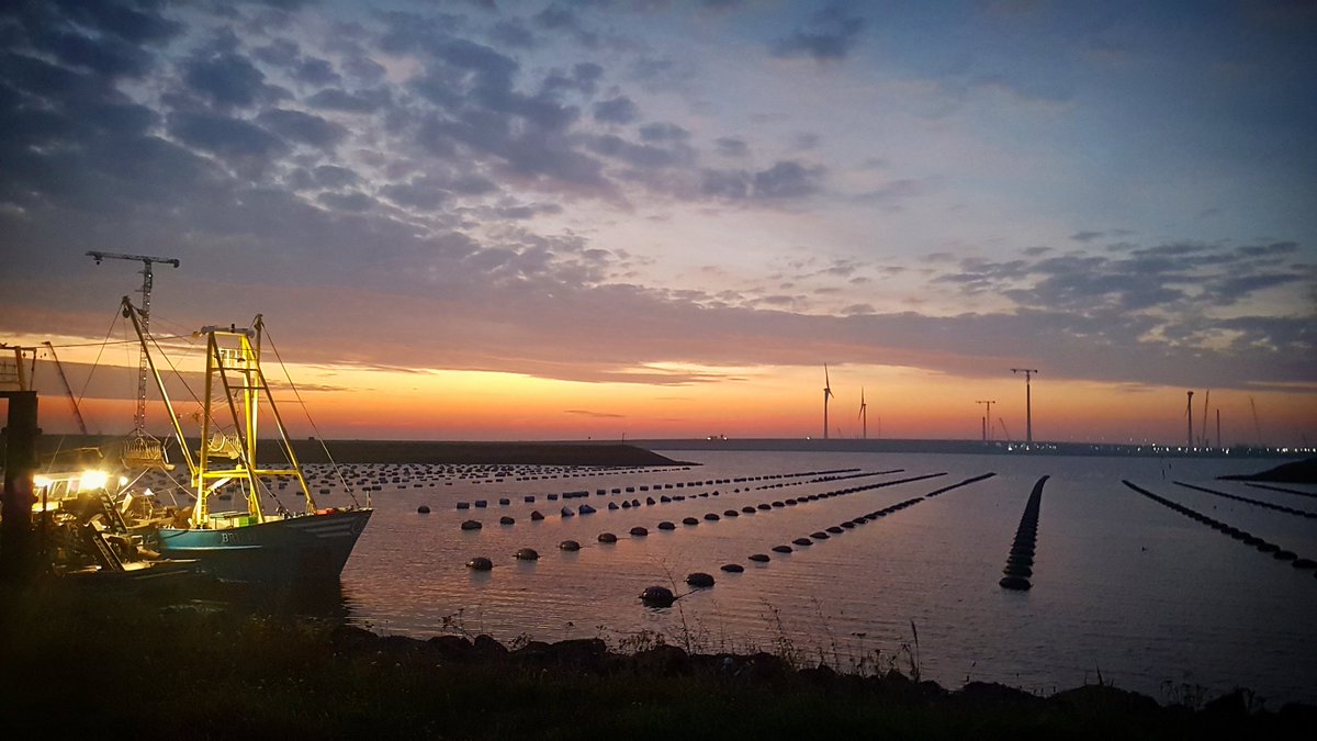 Bezoek project #krammer #windpark #safety #veiligheid #paltrock #hse #windsafety #nvvk #veiligheidskundigen #enercon #zeeland