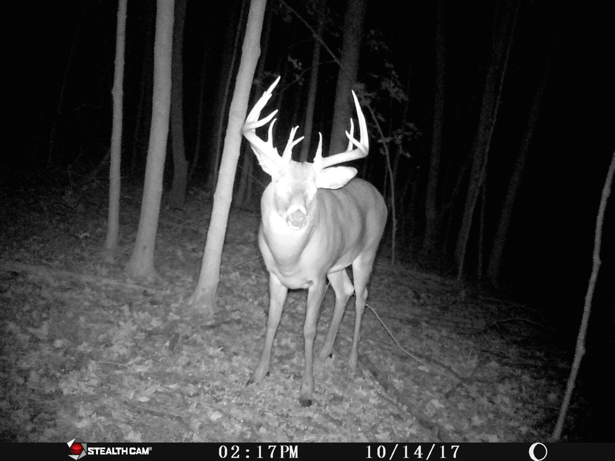 Going after this stud tonight!
