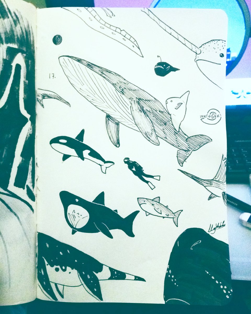 NegaMadness's tweet photo. Inktobers con retraso #DinosaurKing #HollowKnight #Cuphead #EndlessOcean2 #Inktober #inktober2017 #INKTOBER17 @TheArtBond https://t.co/TxryVsArAf