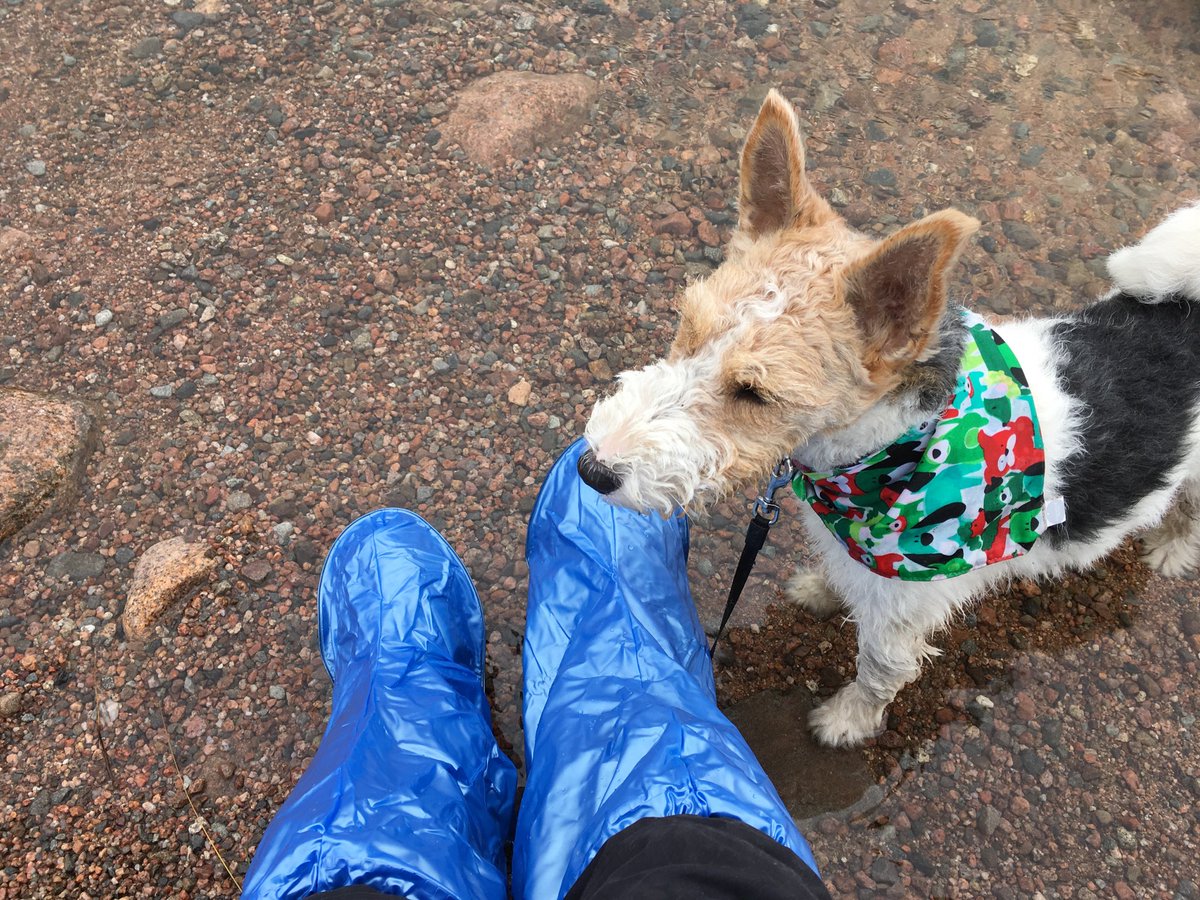 ospreyceren27's tweet photo. Mummy tried out her new Feetz to cross Beanaidh Bheag in Glen Einich today. https://t.co/eOUT1JmMML