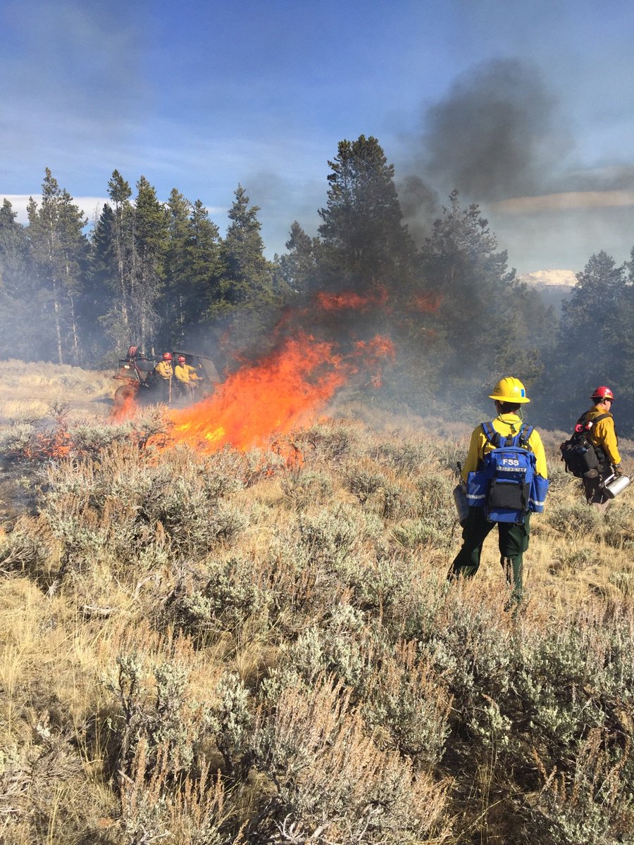 Bighorn NF tweet media