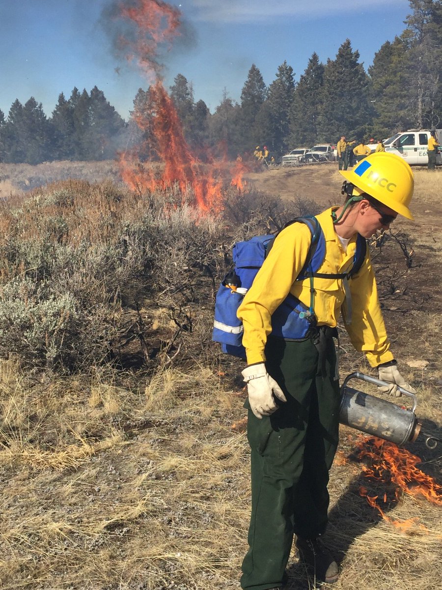 Bighorn NF tweet media