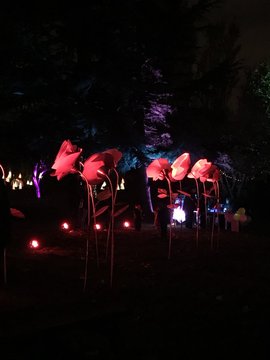 sohotheatre's tweet photo. BAM. Wrapping up our #WFParksFest w Langthorne Park Light Festival 6-10pm tonight & tomoz. Get in. #art #parks #community #WFCulture19 https://t.co/f6Qz2UFtqH