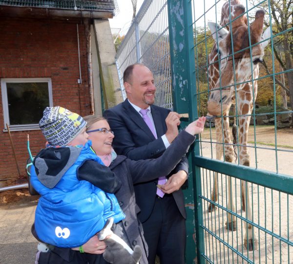 NZ-Blogs tweet media