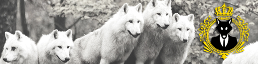 ALCATEIA INVESTIMENTOS.
Você também pode copiar e colar no seu navegador. Link: goo.gl