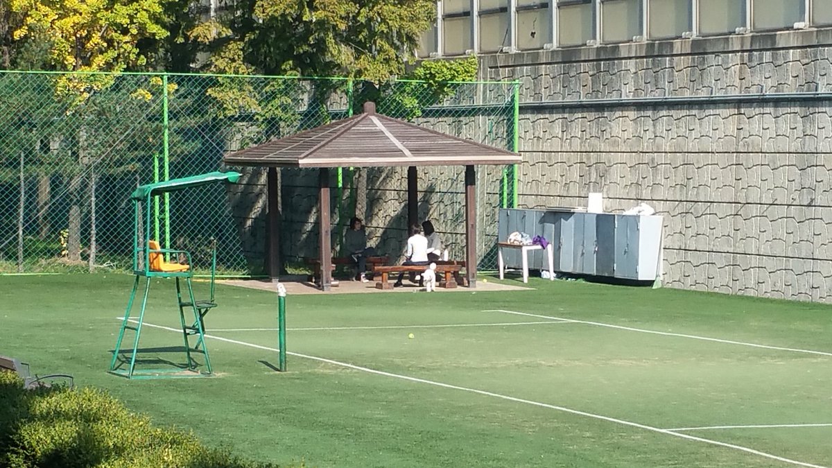 marumusarope's tweet photo. @lymefeel 이곳에서는 운동을 할수가 없다.
개들을 풀어놓고 있어서. https://t.co/NWgbMHis2D