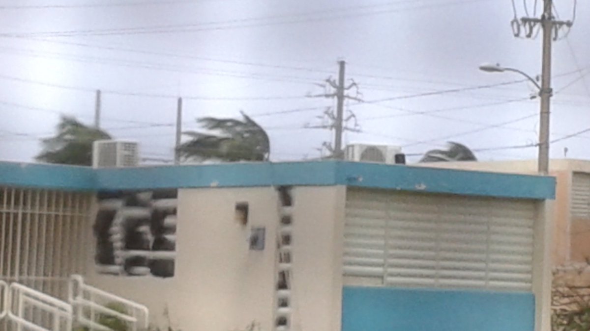 JamisonJune's tweet photo. How you can watch a hurricane's winds hitting hard to the trees?
By your window https://t.co/QgKxl0scPf