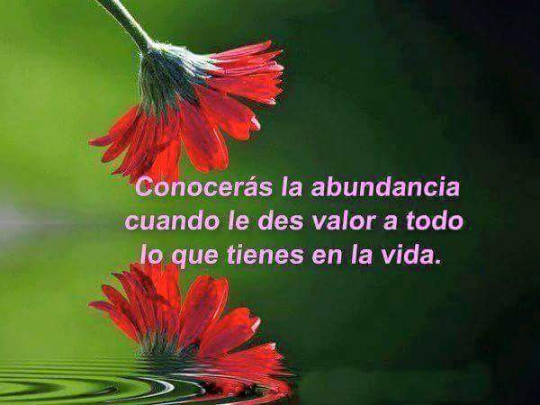 MONINPELAYO's tweet photo. #YoSoy #Abundancia #Riqueza #MoniP #Vivir #Amar https://t.co/oFvpBuogmd