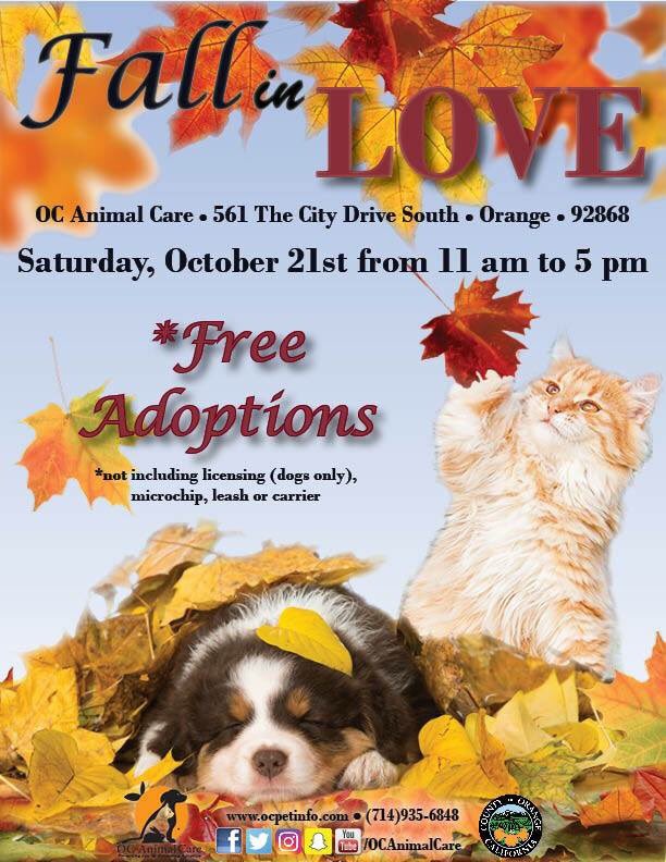 OCAnimalCare's tweet photo. Don't forget! Our Fall in Love Adoption Event is tomorrow from 11 am to 5 pm. Stop by and find your fur-ever friend! #OCAnimalCare #adopt https://t.co/xH5sDCY5u9