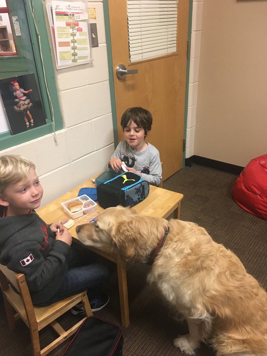 Hudson_CTDS's tweet photo. Sometimes I’m in charge of ensuring the nutritional content of friends’ lunches!  Looks good, J!!  😋 #minihotdogs #yum #RVStherapydogs https://t.co/NPx4meDUok