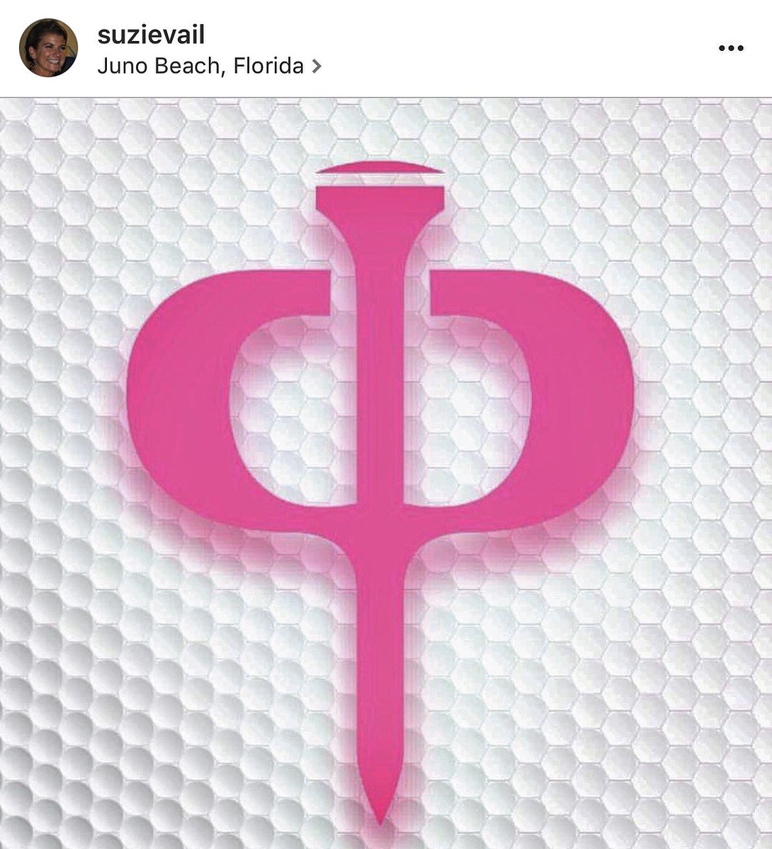 BradyVail's tweet photo. Need help with your golf game? Go follow @pinkpeggolf on Instagram and Twitter! #spreadtheword #golfswing #birdies https://t.co/33rfzJqcdu