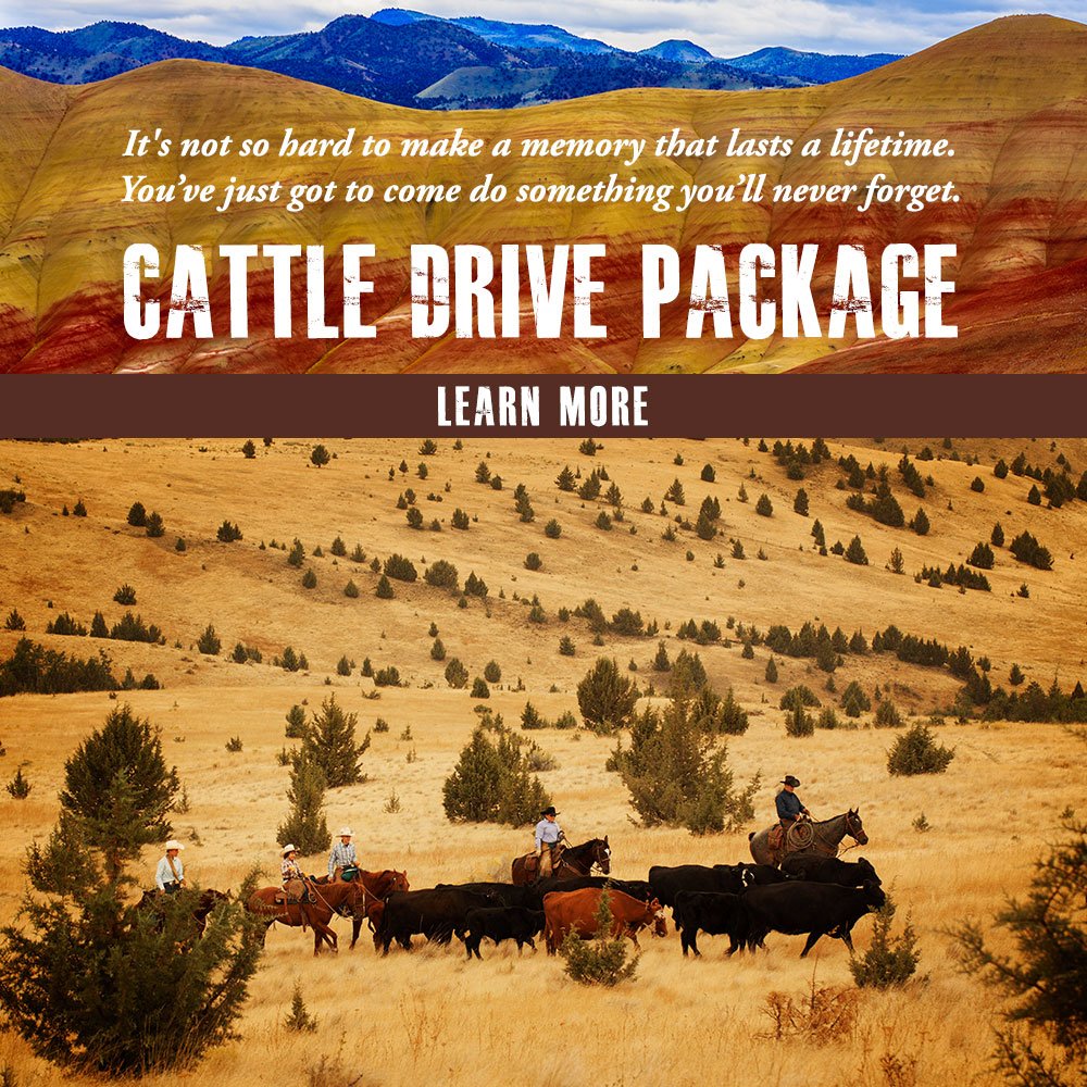 WRRetreat's tweet photo. Stay with us this season &amp; save! And experience a full day of cattle driving with our new package: https://t.co/54vT6M7dMN #traveltuesday https://t.co/TDH1swFHd4