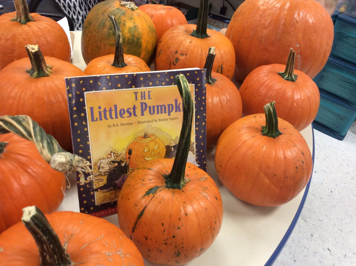 amanda_aidnik's tweet photo. We loved visiting DrummFarm today. #corngrinding #pigs #pumpkinpatch #sortingpumpkinsbysize #millcreekproud @Mill_Creek_ISD https://t.co/zEJWpriIvh