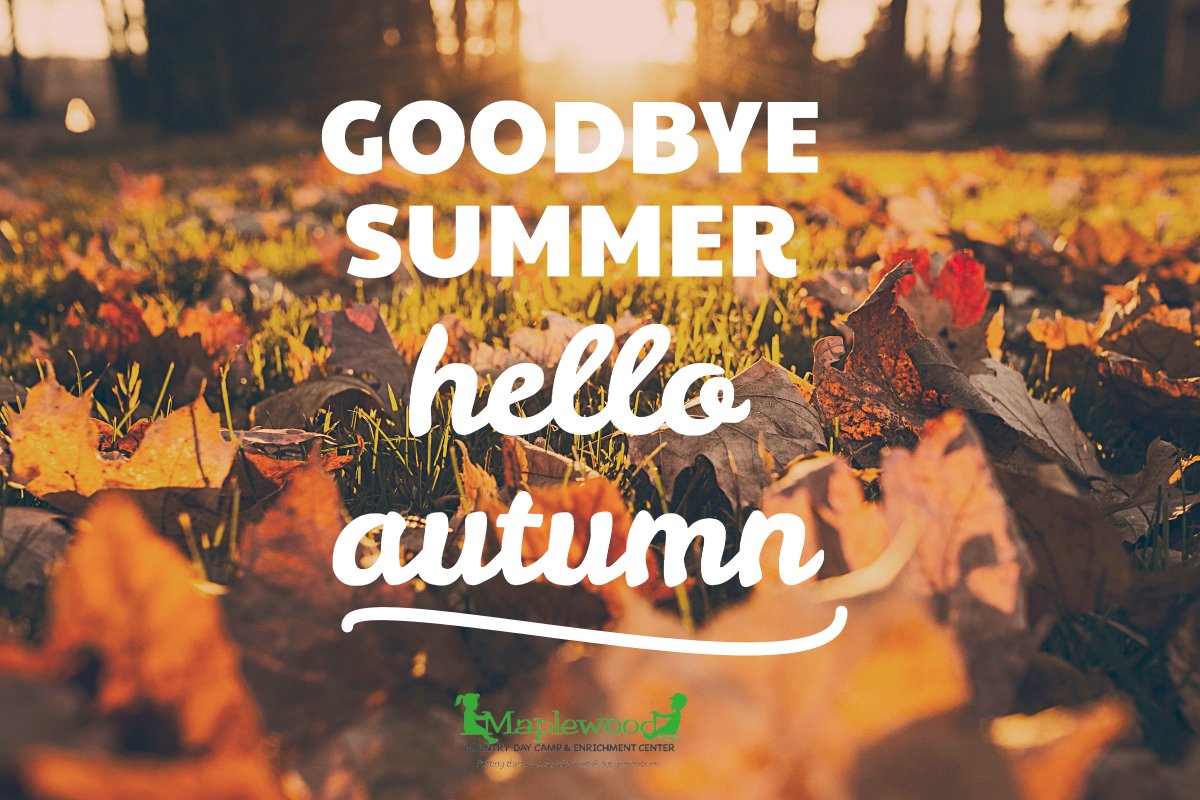MaplewoodCamp's tweet photo. Our campers are excited to enjoy our most colorful season. https://t.co/pbkFJzVyRs