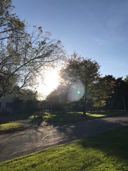 MimZWay's tweet photo. It’s a GORGEOUS evening in the #Roc #RocAmazon love walking Mr. Tippy on days like this. https://t.co/WaMkBESAoj