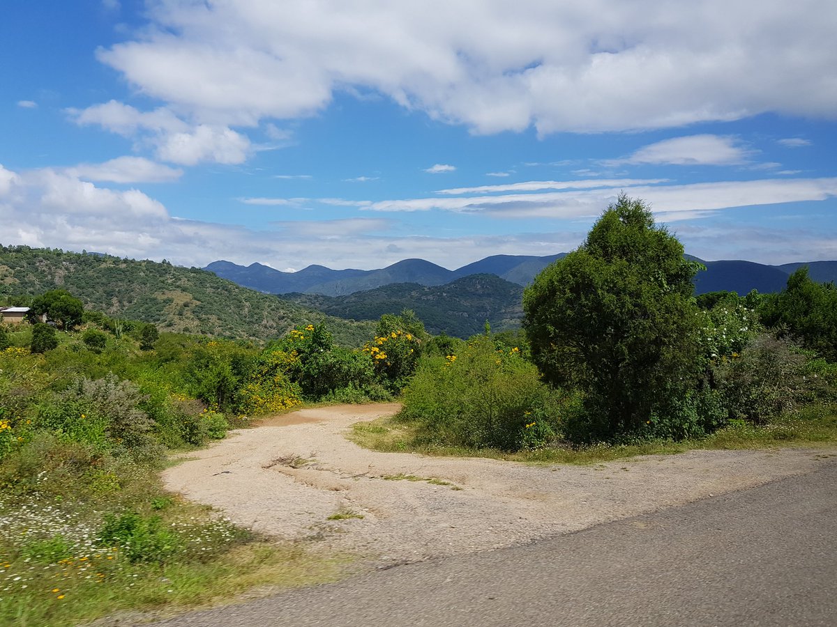 tato_sanchez's tweet photo. Insisto; si aplanáramos la bella sierra, #Oaxaca sería el estado más grande de la República! @alfredoharphelu @caloabu @masapaoax (aún más) https://t.co/A4uOw0GNcb