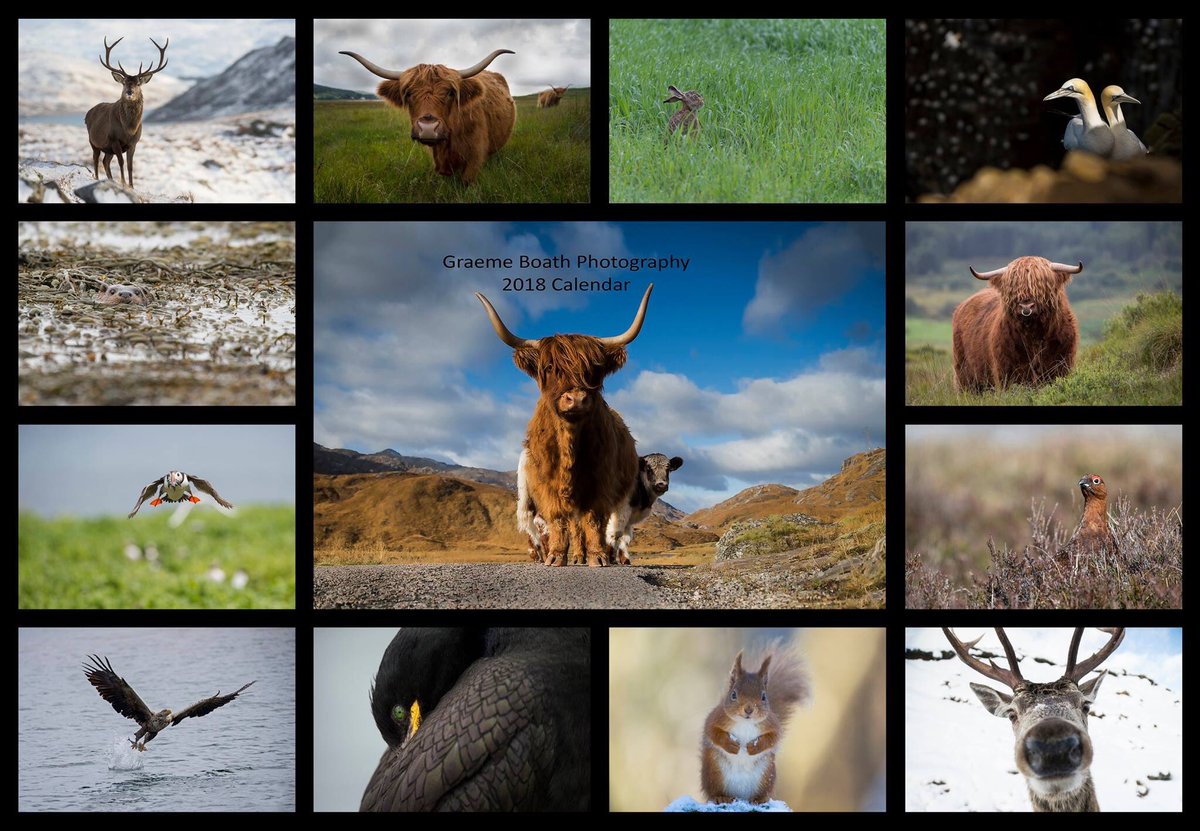 GraemeBoath1's tweet photo. Want to win a 2018 calendar? Click here https://t.co/6lEPZGShSF #competition #calendar #gift #win #free https://t.co/wozURMn9Rt