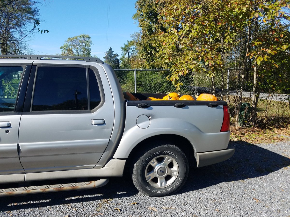 anie2091's tweet photo. just in case you were wondering how many pumpkins I can fit in the bed of my truck it's 30 🤣🤣 @SMHSSTEM https://t.co/xRMkrvXJ5u
