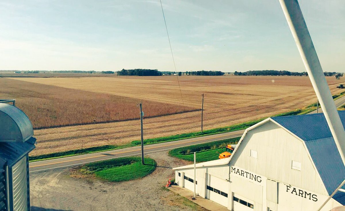 ErikMarting's tweet photo. #harvest17 is moving along on @ChannelSeed #beans at #martingfarms #binbusters @channelcss @SwaakMar21 https://t.co/dnwo9EP9mS
