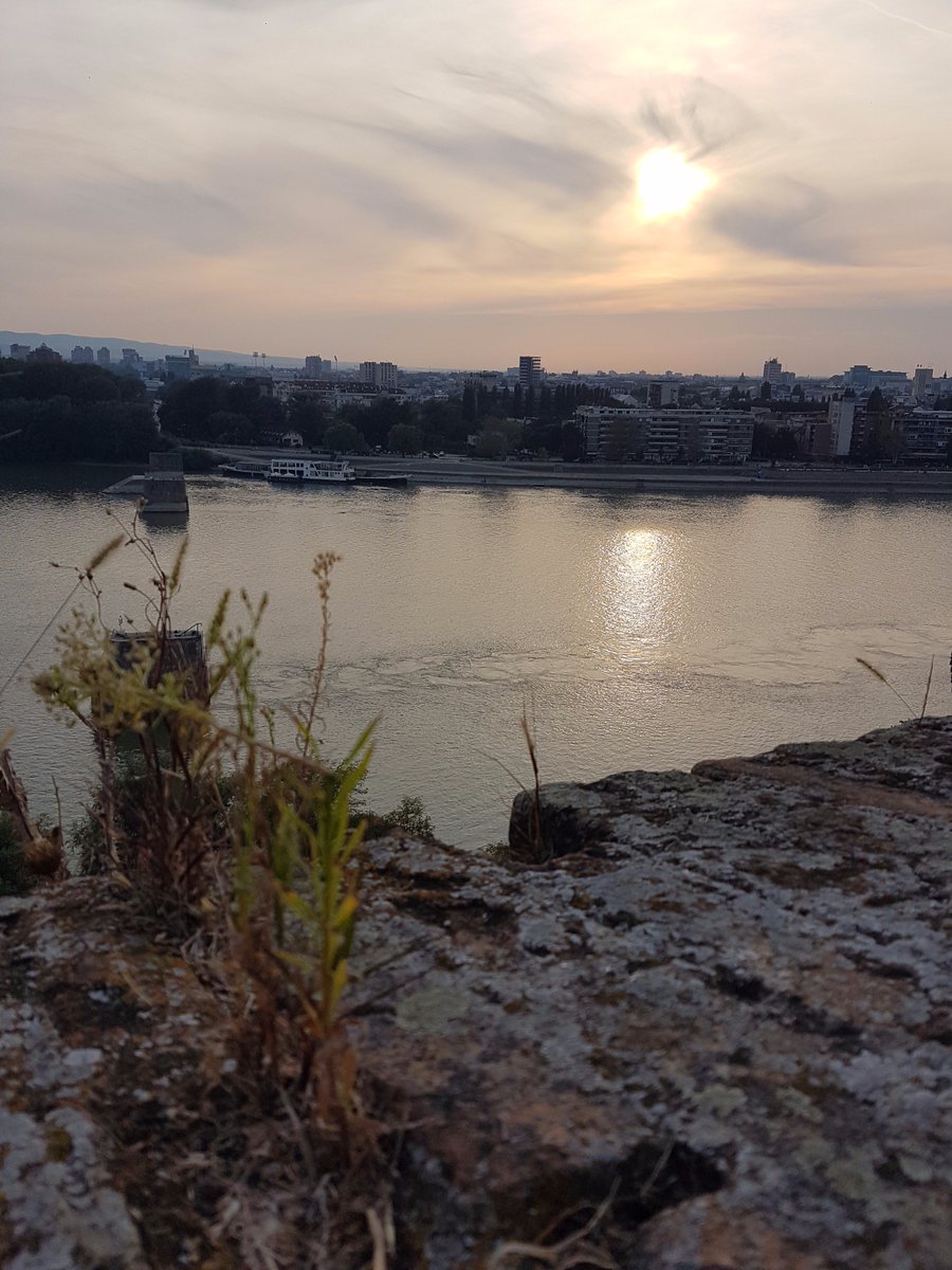 DugosevicVeljko's tweet photo. #djava #ns https://t.co/eZ3YPbMyKp