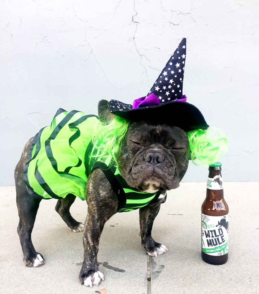 theWILDCIDE's tweet photo. Dressing up for Halloween is hard.. drinking #WILDMULE is not! https://t.co/upQilpmTZm