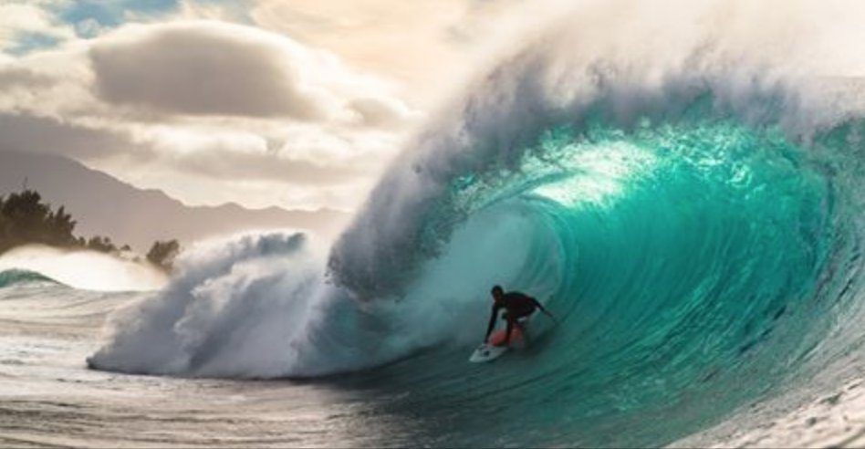 Surfline tweet media